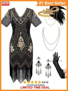 1920s Flapper Sequin Fringe Dress Costume Set Gatsby Roaring 20s